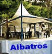 Albatros